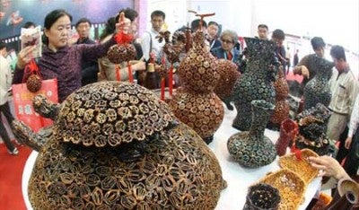 agricultural salon in Beijing