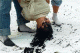 Chinese students using schoolgirl as paintbrush