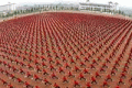 The 80,000 little monks from the Shaolin Temple