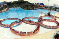 1200 girls in bikini for an Olympic logo world record