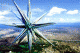 Chinese architects imagine the « Star City » of the future