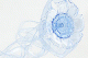 Mineral water bottles become artwork