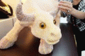 A buffalo made of pearls