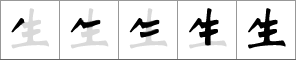 Stroke order of chinese character 生