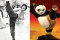 Kung Fu Panda - Real Model