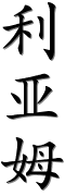 Calligraphy generator